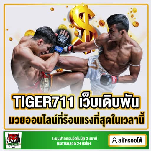 tiger online boxing betting website features