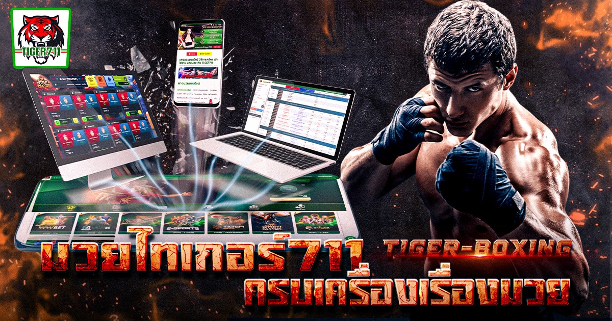 tiger711 มวยพักยก