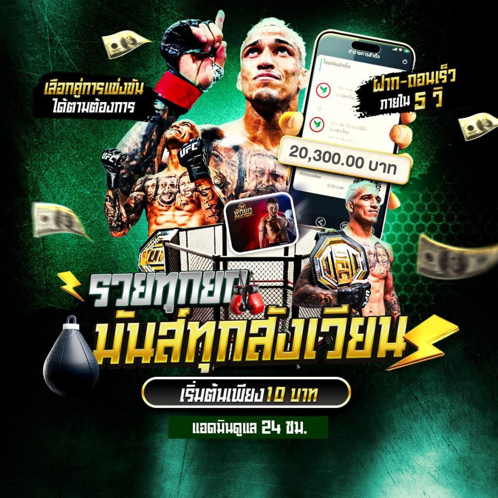 เดือดทุกแมตช์ Tiger711 มันส์ทุกสังเวียน จัดเต็มทุกคู่ดังทั่วโลก